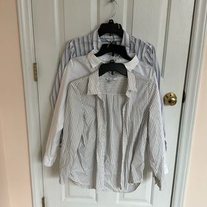 Three (3) Nine West long sleeve shirts for $15. 69% cotton 27% nylon 4% spandex